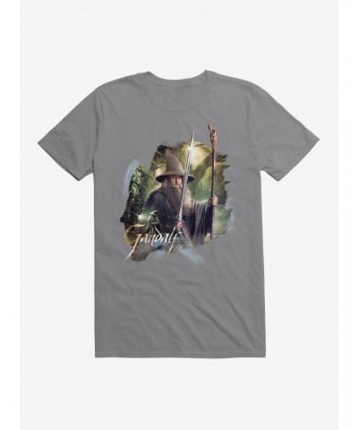 The Hobbit: The Desolation Of Smaug Gandalf T-Shirt $7.84 T-Shirts