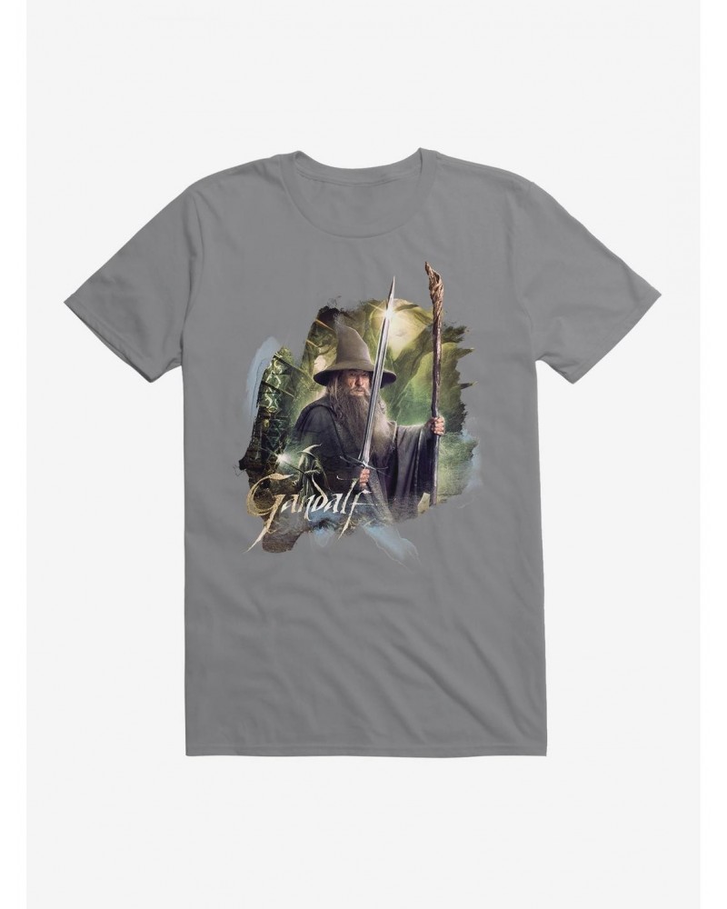 The Hobbit: The Desolation Of Smaug Gandalf T-Shirt $7.84 T-Shirts